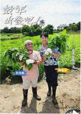 明星旅行真人秀